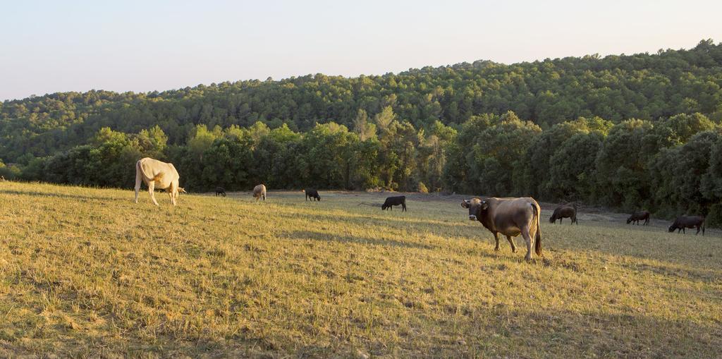 Masoveria De Llado Exteriér fotografie