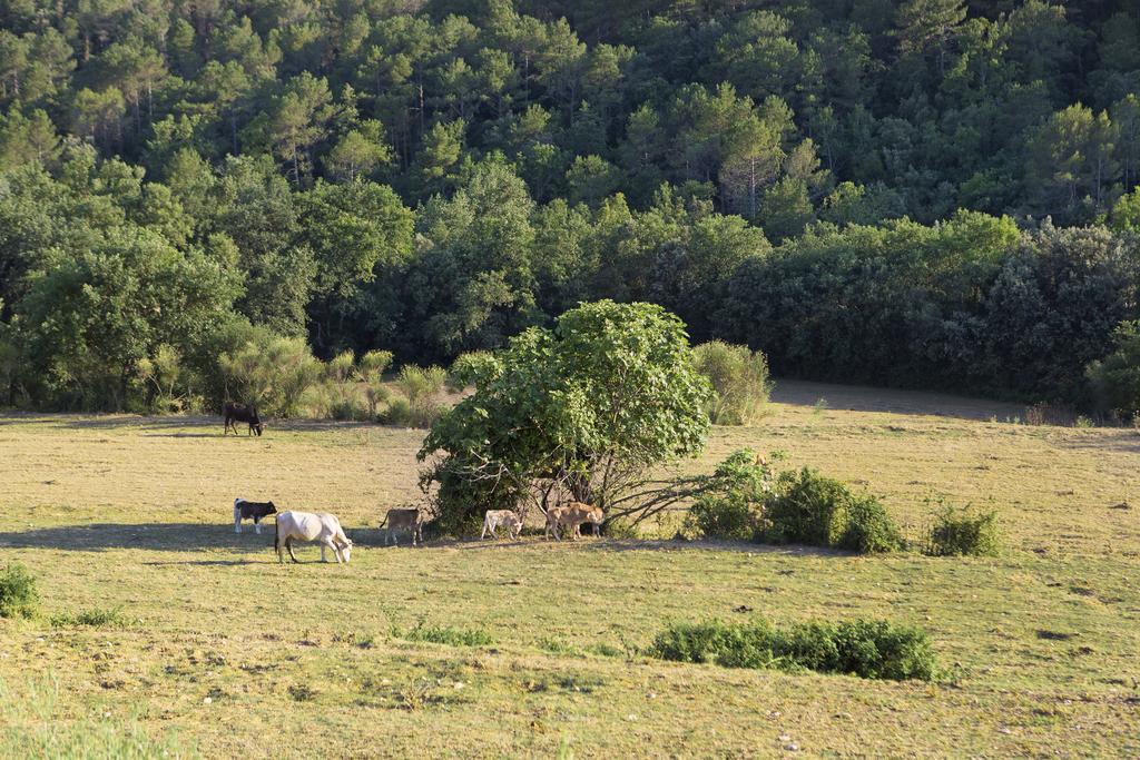 Masoveria De Llado Exteriér fotografie