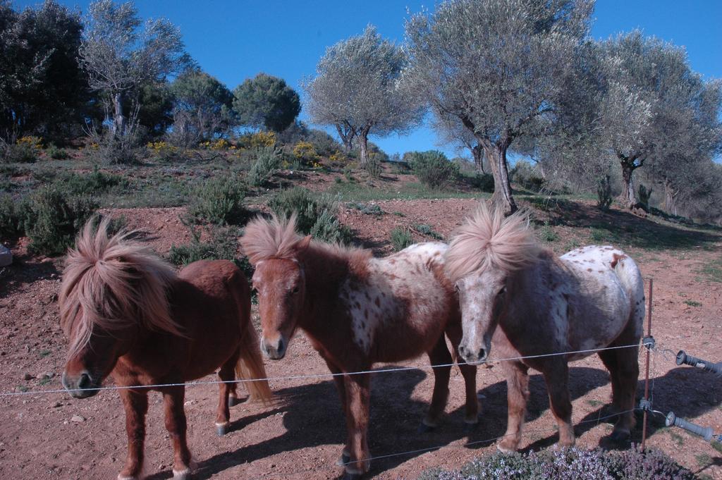 Masoveria De Llado Exteriér fotografie