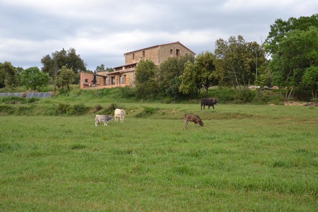 Masoveria De Llado Pokoj fotografie